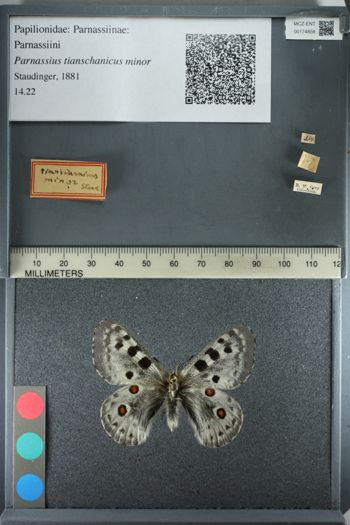Media type: image;   Entomology 174858